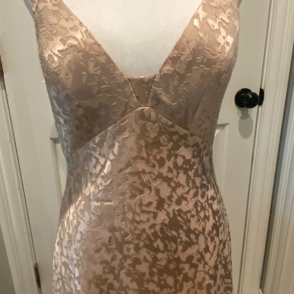 Jenny Yoo Collection Bridesmaid Dress Gabriela/Prosecco, 16807 - Picture 4 of 13